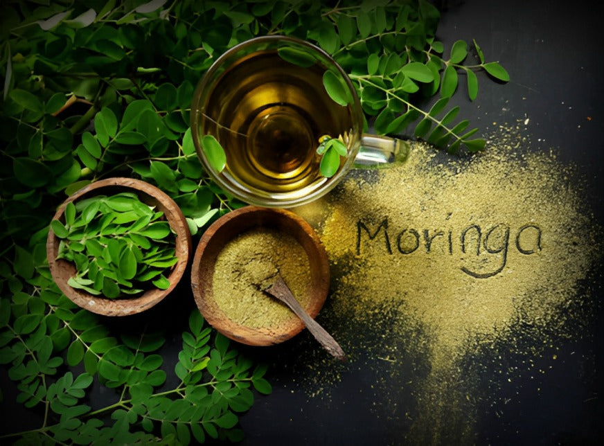 How To Draw Moringa Leaves
