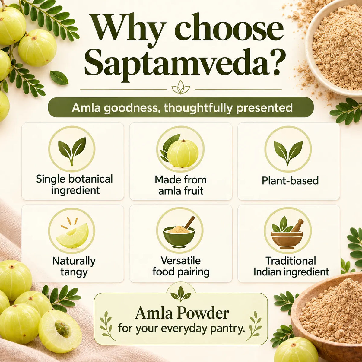 Saptamveda Amla Powder – Natural Indian Gooseberry Powder for Daily Nutrition, Immunity & Hair Care | 100g Composite Tin