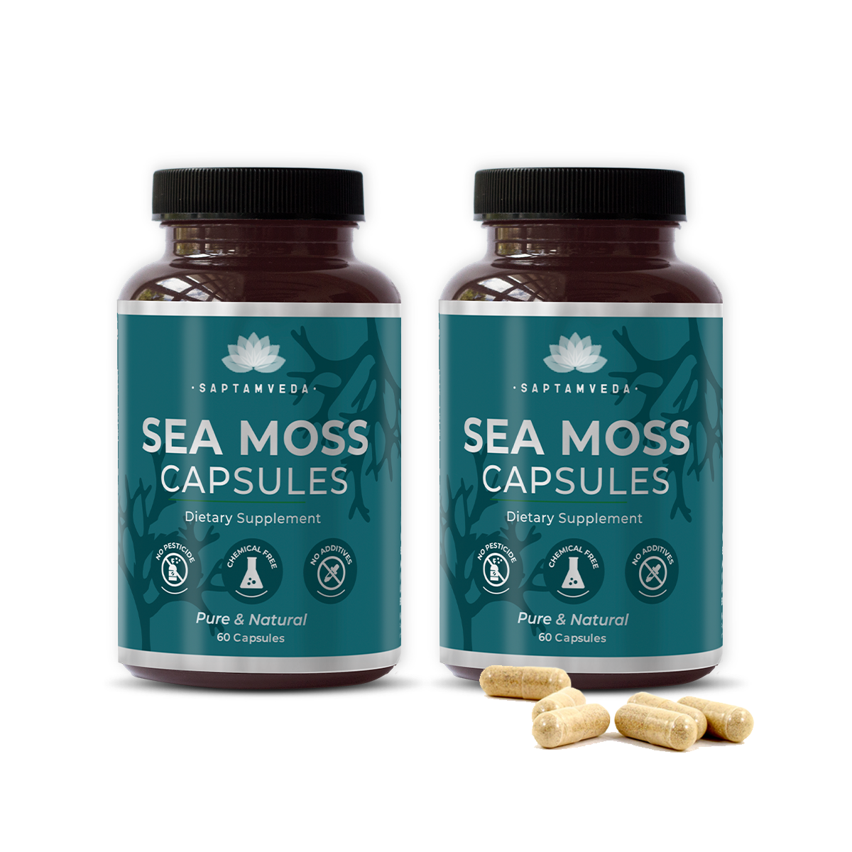 Saptamveda Irish Sea Moss Capsules - Immune Support with Bladderwrack, Burdock & Turmeric, 500mg