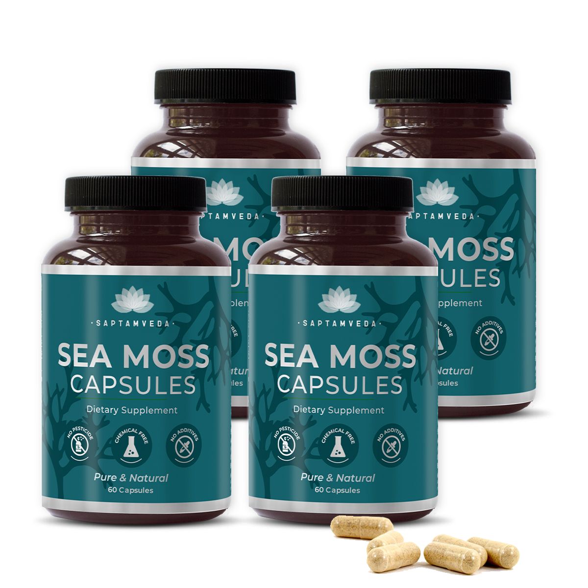 Saptamveda Irish Sea Moss Capsules - Immune Support with Bladderwrack, Burdock & Turmeric, 500mg