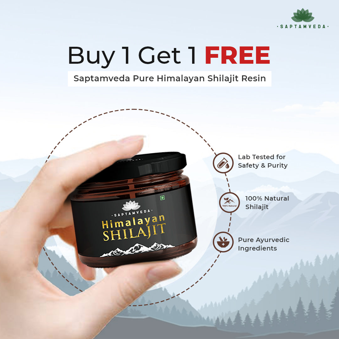 Himalayan Shilajit Resin - Natural Energy & Strength Booster, 20g