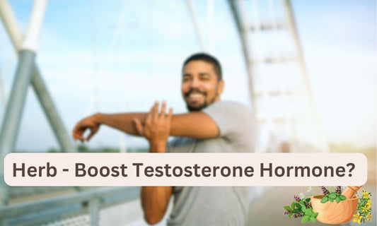 Herb - Boost Testosterone Hormone ?