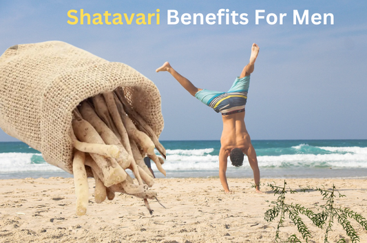 Shatavari benefits for Men