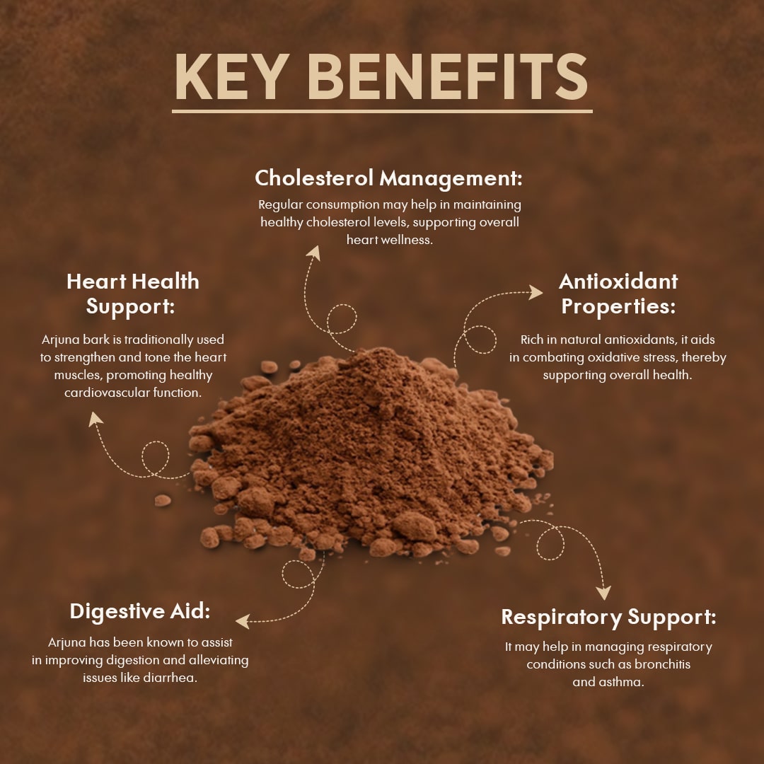 Arjun Chal pack of 2