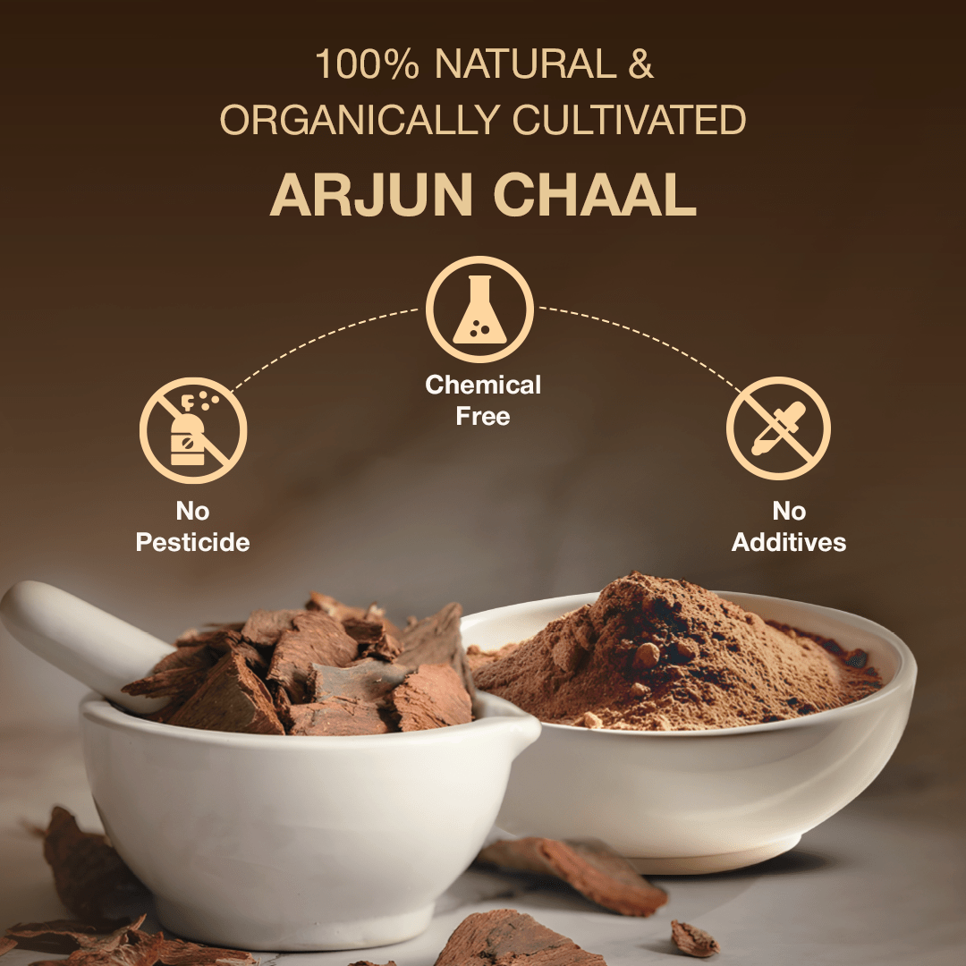 Arjun Chal pack of 2