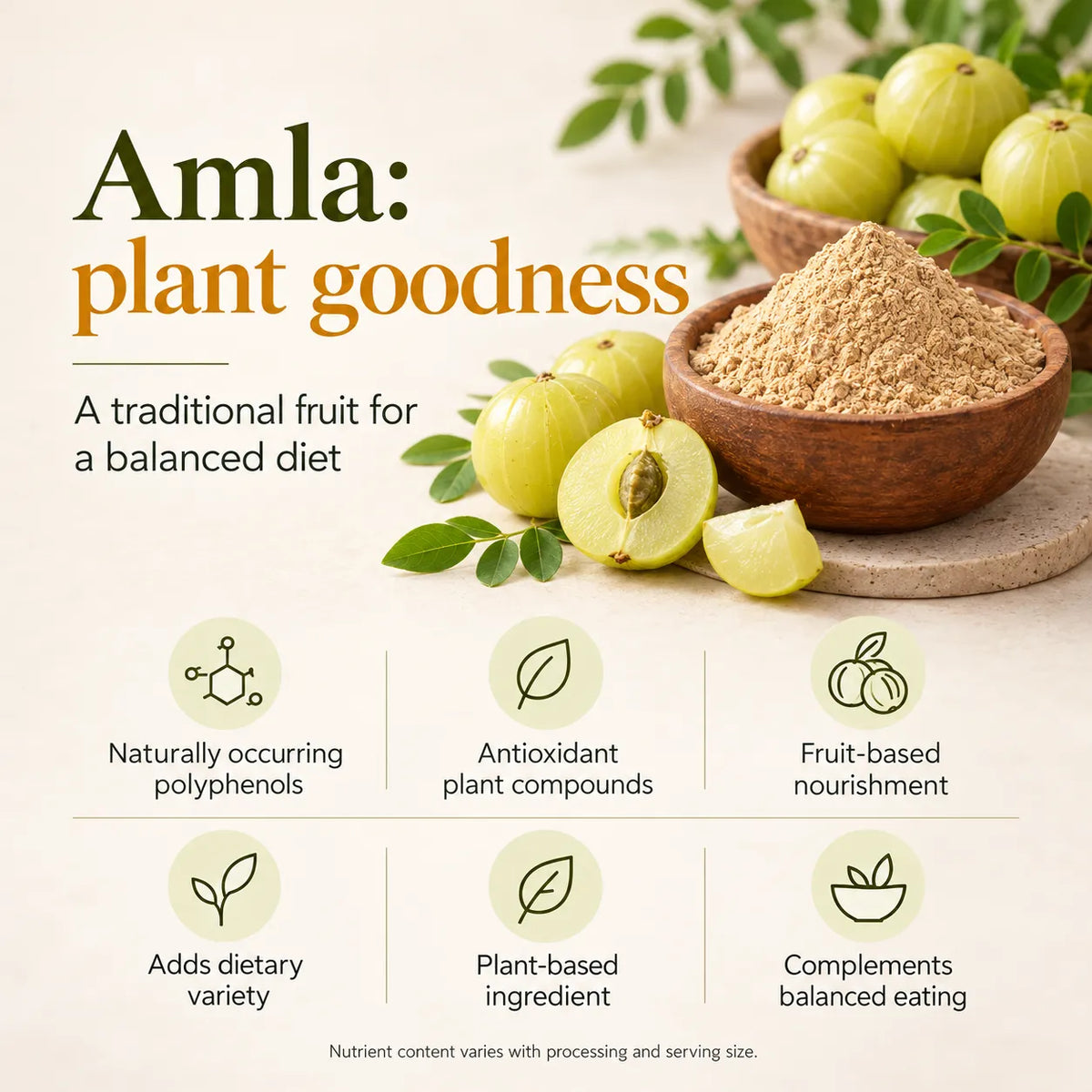 Saptamveda Amla Powder – Natural Indian Gooseberry Powder for Daily Nutrition, Immunity & Hair Care | 100g Composite Tin