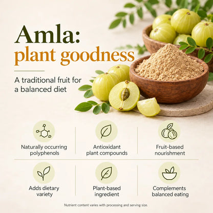 Saptamveda Amla Powder – Natural Indian Gooseberry Powder for Daily Nutrition, Immunity & Hair Care | 100g Composite Tin