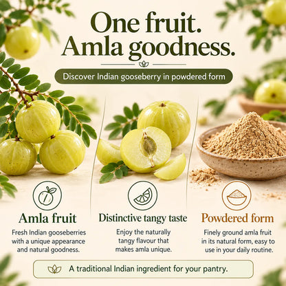 Saptamveda Amla Powder – Natural Indian Gooseberry Powder for Daily Nutrition, Immunity & Hair Care | 100g Composite Tin
