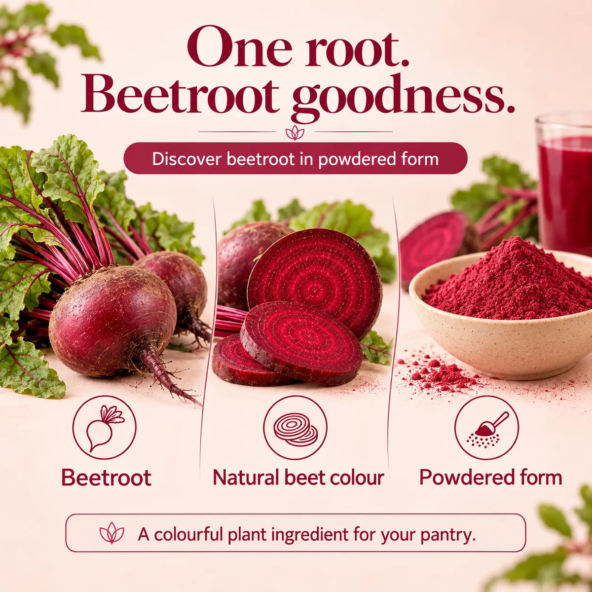 Saptamveda Beetroot Powder – Natural Beetroot Superfood for Daily Nutrition, Energy & Wellness | 100g Composite Tin