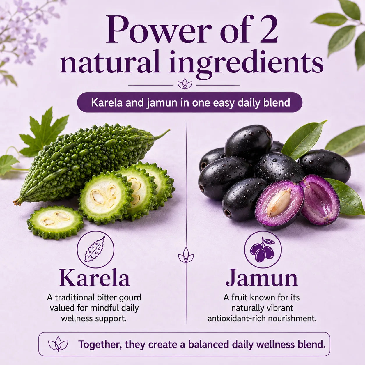 Karela Jamun Powder – Traditional Karela Jamun Blend for Sugar-Conscious Lifestyle | 250g