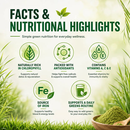 Saptamveda 100% Pure Wheatgrass Powder | Rich in Chlorophyll & Antioxidants | 200g Tin
