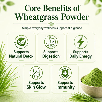Saptamveda 100% Pure Wheatgrass Powder | Rich in Chlorophyll & Antioxidants | 200g Tin