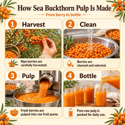 Saptamveda Sea Buckthorn Pulp | Himalayan Superfruit for Skin, Immunity & Energy
