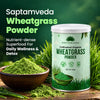 Saptamveda Wheatgrass Powder – Cultivated Organic Green Superfood for Daily Nutrition & Wellness | 100g Composite Tin