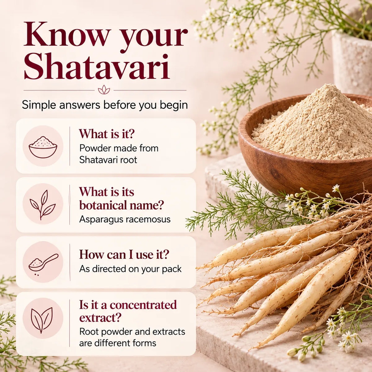 Saptamveda Shatavari Powder – Traditional Ayurvedic Herb for Women's Health & Daily Wellness | 100g Composite Tin