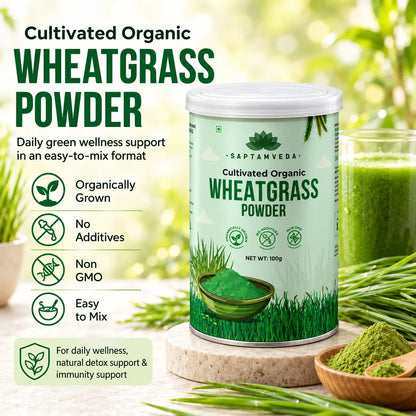 Saptamveda Wheatgrass Powder – Cultivated Organic Green Superfood for Daily Nutrition & Wellness | 100g Composite Tin