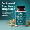 Saptamveda Irish Sea Moss Capsules - Immune Support with Bladderwrack, Burdock & Turmeric, 500mg