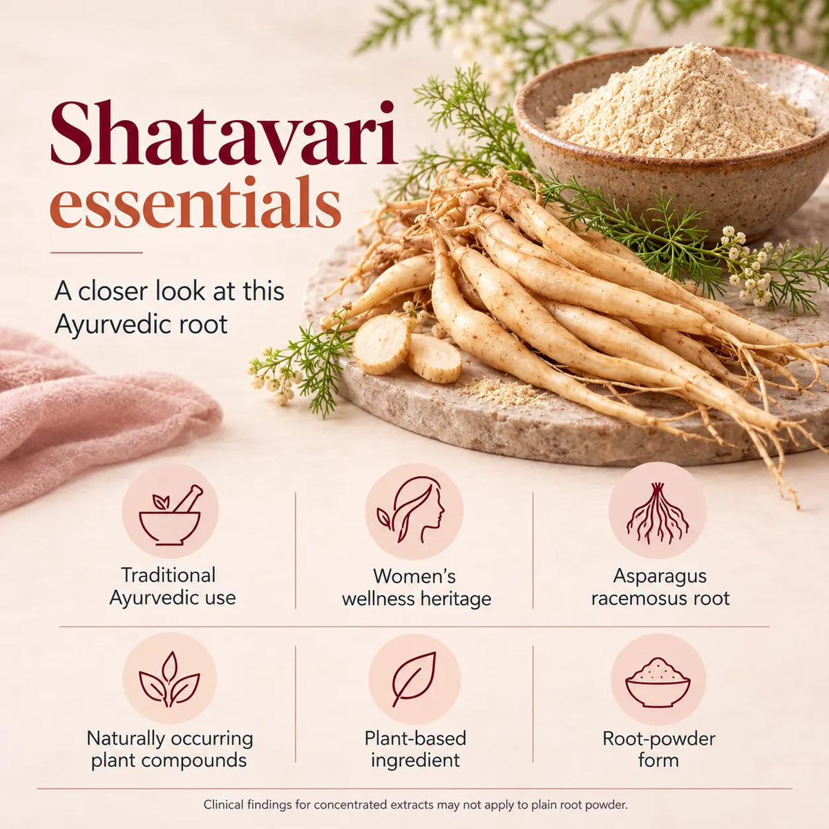 Saptamveda Shatavari Powder – Traditional Ayurvedic Herb for Women's Health & Daily Wellness | 100g Composite Tin