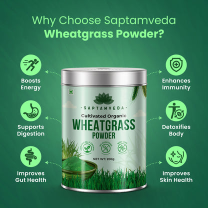 Saptamveda 100% Pure Wheatgrass Powder | Rich in Chlorophyll & Antioxidants | 200g Tin
