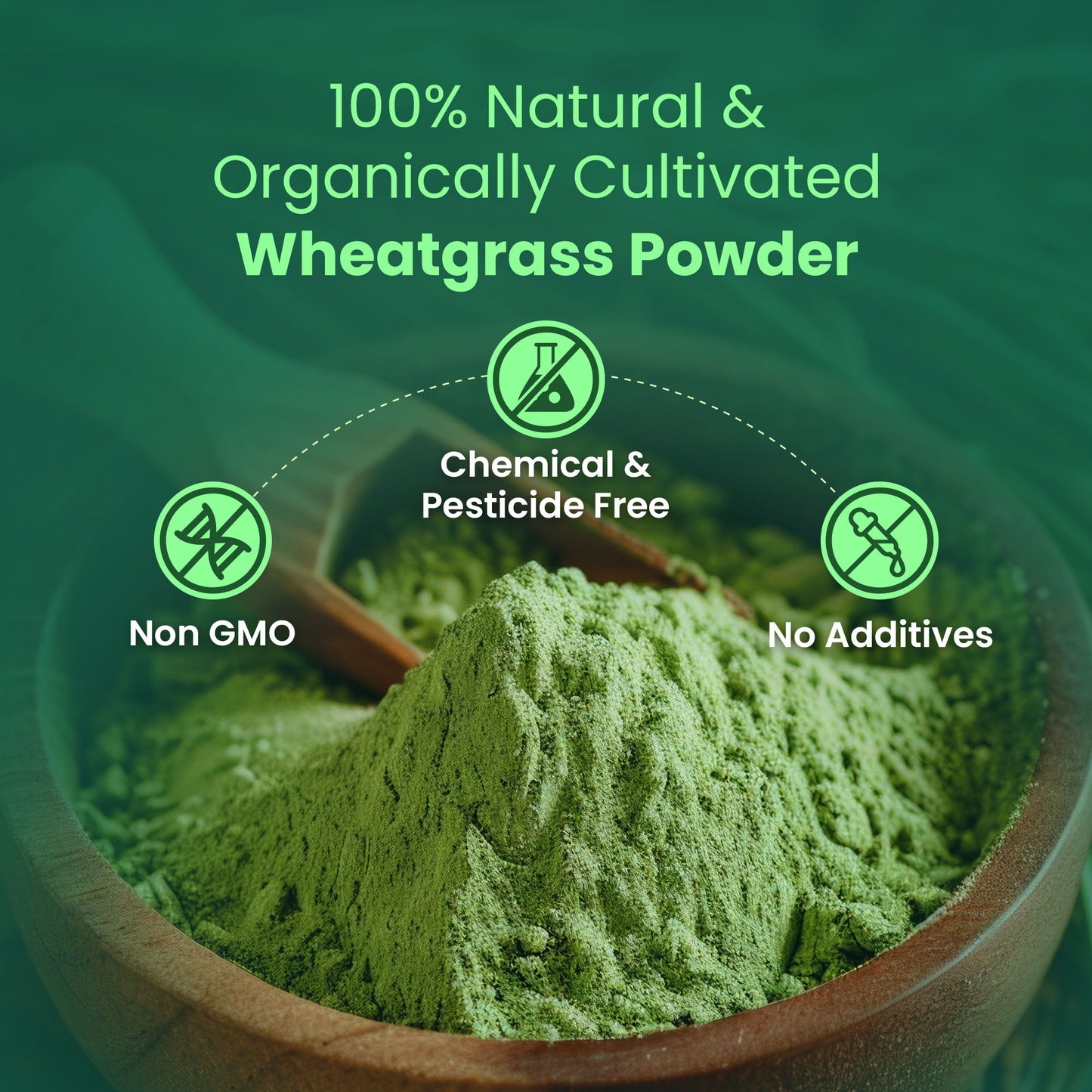 Saptamveda 100% Pure Wheatgrass Powder | Rich in Chlorophyll & Antioxidants | 200g Tin