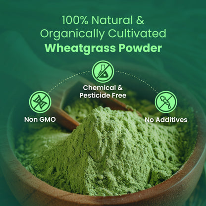 Saptamveda 100% Pure Wheatgrass Powder | Rich in Chlorophyll & Antioxidants | 200g Tin