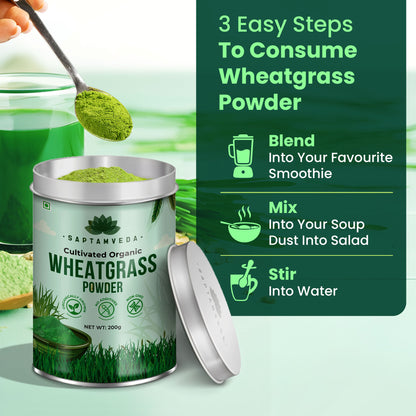 Saptamveda 100% Pure Wheatgrass Powder | Rich in Chlorophyll & Antioxidants | 200g Tin