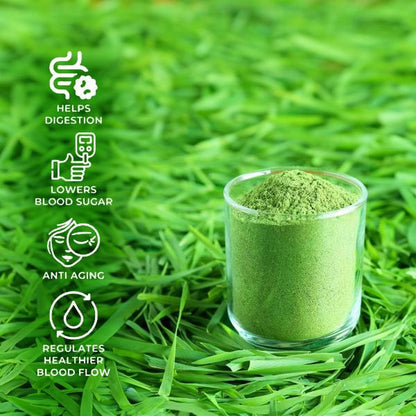 Saptamveda Wheatgrass Juice Powder – Organic Superfood for Detox, Energy & Immunity – Rich in Chlorophyll, Antioxidants & Nutrients, Non-GMO, Vegan