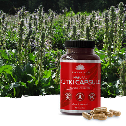 Natural Kutki Capsules with 5% Extract | 60 Capsules | 500mg each