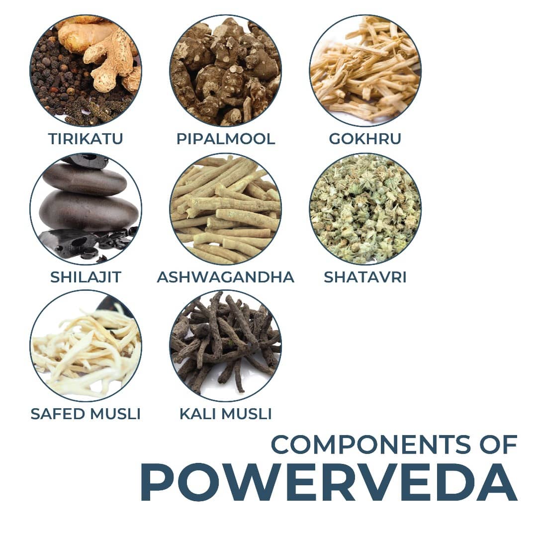 Components of powerveda